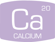 calcium mobile
